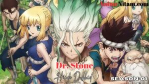 Dr. Stone (Season 01) in Hindi Dubbed – AnimeNitam