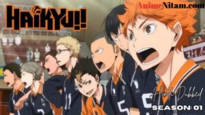 Haikyu (Season 01) in Hindi Dubbed - Complete – AnimeNitam