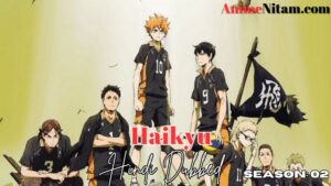 Haikyu (Season 02) in Hindi Dubbed - Complete – AnimeNitam