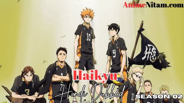 Haikyu (Season 02) in Hindi Dubbed - Complete – AnimeNitam