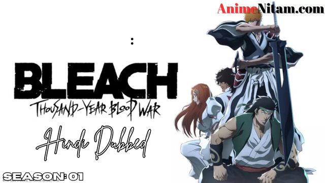 Bleach Thousand-Year Blood War (Season 01) in Hindi Dubbed - Complete – AnimeNitam